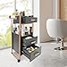 Salon Trolley with Wheels, 3 Drawers Salon Cart with Hair Dryer Holder Utility Salons Cabinet for Tools Storage at Barbershop Beauty Salons Tattoo Shop (Black)