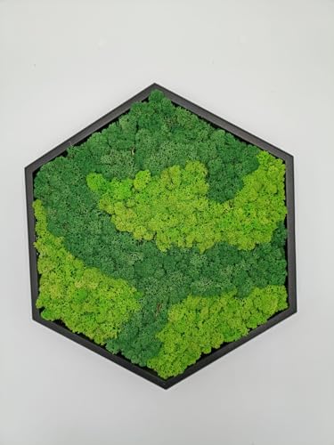 LoveLasy Bicolor Moos Wandbild Hexagon für Haus und Büro, Moosbild (Black frame, big)
