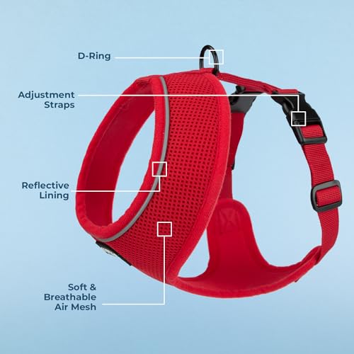 Image of Best Pet Supplies Voyager Aerolite Over the Head Dog Harness, No Pull Breathable Air Mesh Vest, Quick Dry with Reflective Stitching, Adjustable Escape Resistant Harness - Red, Medium