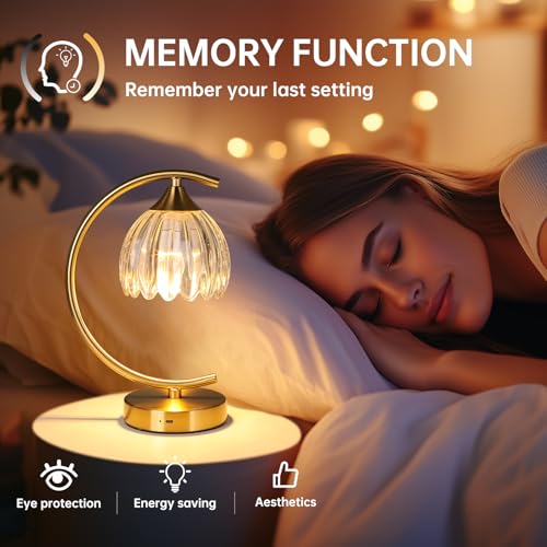 Image of Shenmoyl Set of 2 Tulip Table Lamp, 5200mAh Cordless Touch Control Table Lamp with 3 Color Temps & Stepless Dimming, Rechargeable Battery Table Lamp for Living Room, Bedroom, Shelf (Transparent Tulip)