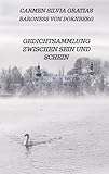 Gedichtsammlung zwischen Sein und Schein