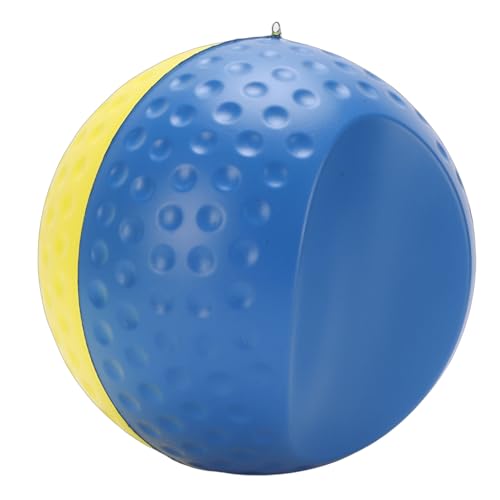 Balle d'aide à la posture avec lanière réglable Domary accessoire mousse PU retour visuel sport