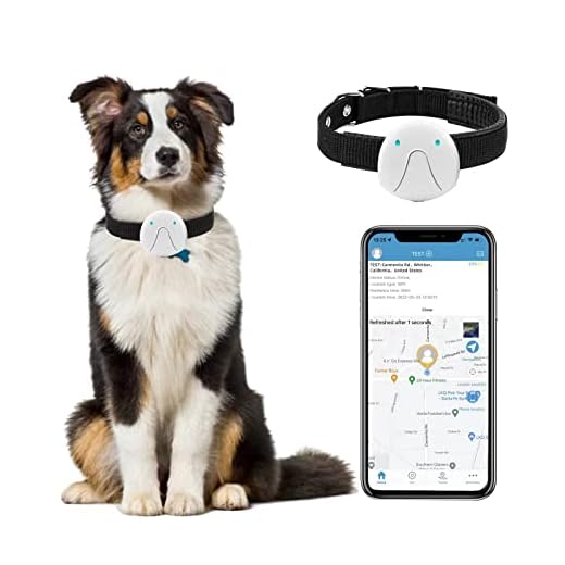 LeonardCreek Pet GPS Tracker for Dogs, Tracking Dog Collar Device, GPS Activity Monitor for Cats, Unlimited Range & Waterproof Tracker for Dogs, GPS Locator for Pets, Pet Activity Tracker (White)