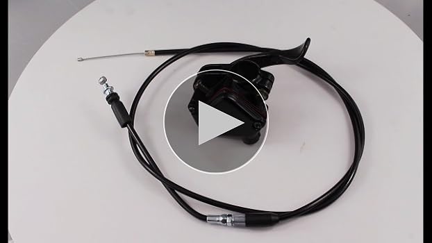 マンドリン　thumb 2024-08-15175047_1200x.jpg?v=