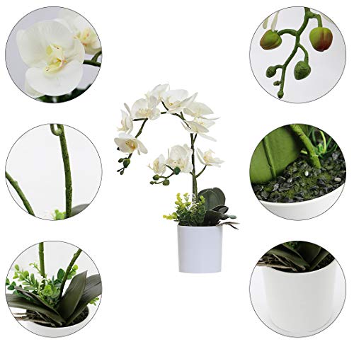 Omygarden White Orchid Artificial Flowers In Pot, Fake Plastic Orchid Flowers, Decoration For Home Office Wedding(White 2 Bouquets) #TOP2