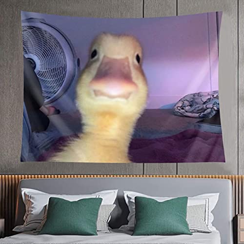 Demosayer Duck Meme Tapestry for College Dorm Funny Tapestries Poster for Bedroom Wall Art Decor Banners 60