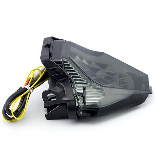 luzes da motocicleta Lanterna traseira integrada Sinal de mudança de direção Lâmpada de freio da mot