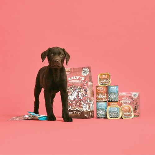 Lily's Kitchen Mit natürlichen Zutaten hergestellt Nassfutter für Welpen Hundefutter Schale Bio- Abendessen mit Huhn und Gemüse 150g