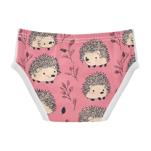 Wusikd Cute Hedgehogs Boys' Underwear Cotton Pink Boys Briefs Soft Toddler Underwear 2T2