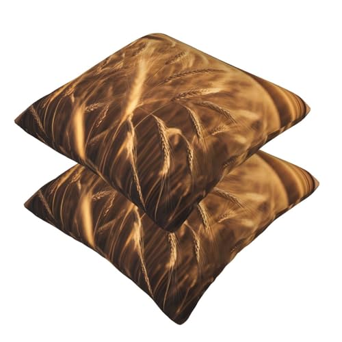 Housse de coussin champ de blé lavable pour protéger et décorer votre canapé