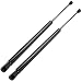ECCPP Lift Support Rear Liftgate Replacement Struts Gas Springs Fit for 2007-2015 Audi Q7 Set of 2