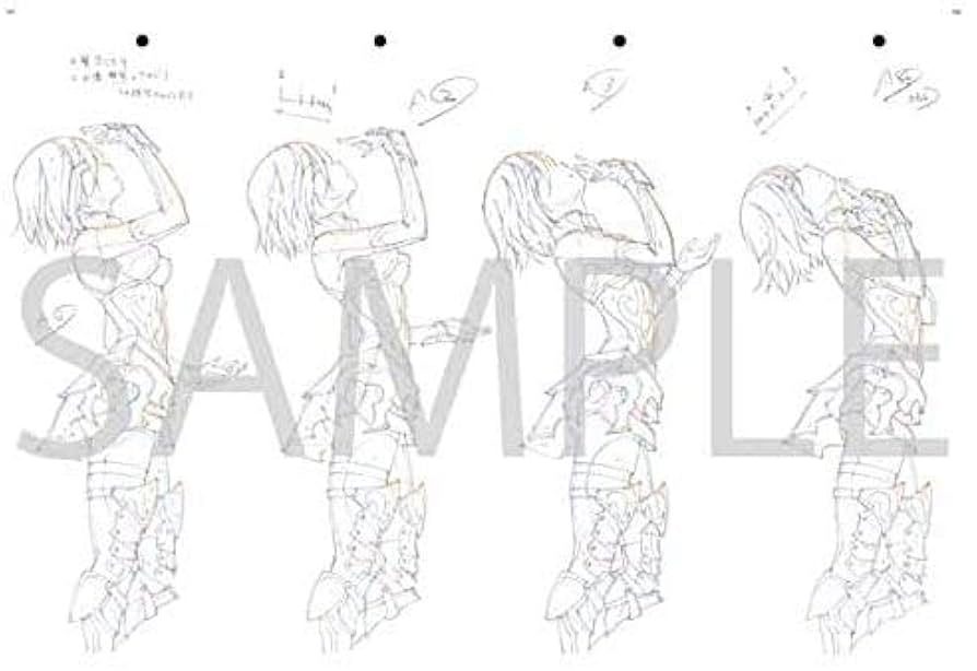 Amazon.co.jp: Fate/Grand Order Trailer's Trail created by A