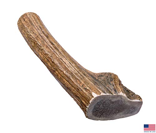 Silver Gate Antlers Elk Antlers for Dogs - Giant (XXL) 8 to 10 Inch Antler Dog Chew, Whole - USA Made All Natural Elk Dog Chews - Long Lasting Durable Chew Toys for Aggressive Chewers