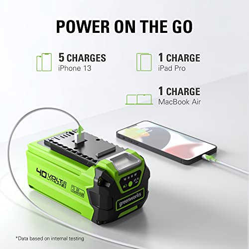 Image of Greenworks 40V 2.5Ah USB Lithium-Ion Battery (Genuine Greenworks Battery / 75+ Compatible Tools)