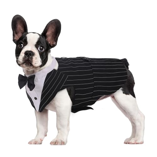 Hunde Halloween Pullover „Ugly Sweater“ Mit Kürbis-Muster – Größe S, Schwarz/Orange, Für Kleine Hunde