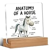 Funny Horse Gifts for Women Men, Cool Gifts for Horse Lovers, Horse Themed Gifts, Anatomy of a Horse Home Office Desk Decor Signs Plaques 4 x 4 Inches