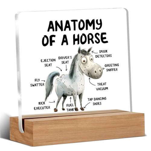 Funny Horse Desk Plaque for Office Decor