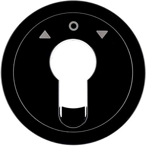 Tapa interrupteur clé persianas R.x noir pour harmoniser les commandes de stores du salon