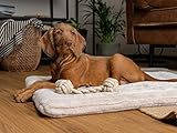 TrendPet Harmony 4cm gefütterte Hundedecke, Katzendecke, Liegedecke für Hunde und Katzen (Creme, 50x35cm)
