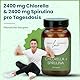 Chlorella+Spirulina Kapseln mit MCT und Bambusextrakt. In Deutschland hergestellt