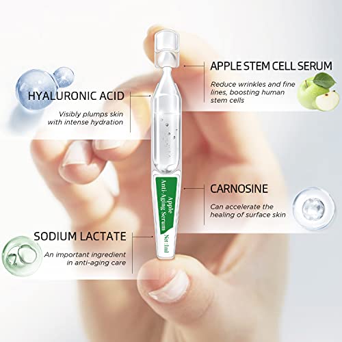 Bacheri Anti Aging Face Ampoule With Apple Stem Cells Serum For Wrinkle Reduction And Skin Rejuvenation, Hydrating Facial Serum With Fruit Stem Cell Extract, 30 Ampoules #TOP4