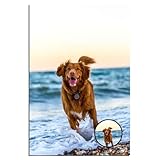 Photo acrylique personnalisée : ce cadre photo unique se distingue par son incroyable transformation. Il suffit de partager vos photos préférées, et nos designers professionnels utiliseront des outils de traitement d'image avancés pour les réinventer comme des œuvres d'art vives de style anime 2D.