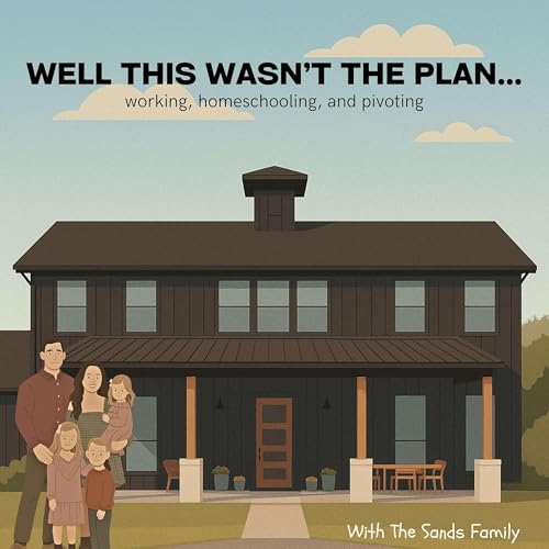 Well...This Wasn't The Plan cover art