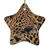 Personnalisation significative pour des souvenirs durables : plus qu'une simple décoration, ces ornements symbolisent la joie et la connexion. Accrochez-les sur votre sapin pour marquer des moments spéciaux, ou offrez-les à vos proches (famille, amis, collègues) comme cadeaux de Noël chaleureux. Chaque pièce devient un souvenir précieux, créant des souvenirs durables pour les années à venir