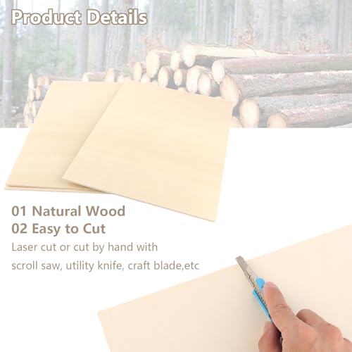 ZOFUN 10 x A3 Sperrholz 5mm Sperrholzplatte 5mm, Holzplatten zum Basteln, Pappelsperrholz Holz Platten, Holzplatt für DIY Holzarbeiten, Brandmalerei, Modellbau, Geschenke, Deko, Gemälde -420x300*5mm