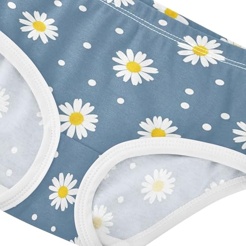 White Daisies Floral Blue Panties for Girl Toddler Girls Underwear Cotton Florals Undies Kids Briefs 2t4