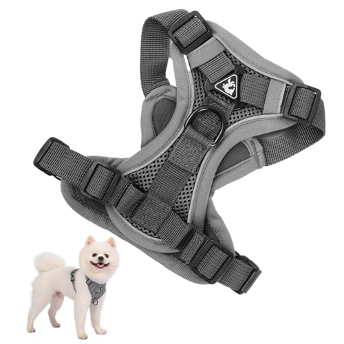 Pettorina per Cani Taglia Piccola Media Grande, Traspirante Imbracatura Cane Anti Tiro con 1,5 m Guinzaglio, Gilet Riflettente Animali Domestici, Pettorina per Gatto Cuccioli Regolabile per Corsa (XL)