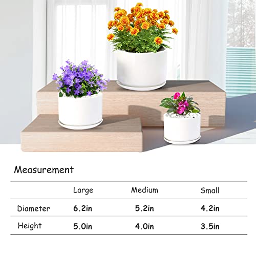 EFISPSS Plant Pots, Flower Pots Planters with Connected Saucer, Round Modern Decorative Succulent Gardening Pot with Drainage Hole for Indoor Plants Flowers Herbs - Set of 3(White)