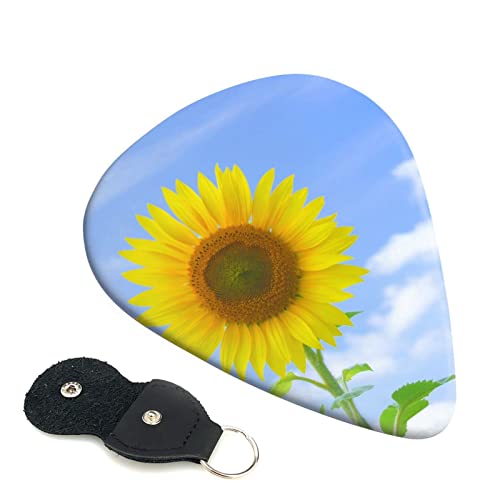 M^[sbN 6Zbg 0.46mm 0.71mm 0.96mm GLM^[ x[XpsbN EN M^[ ABSf GNgbN AR[XeBbN y S gCAO sbNi ƈւ̂Ђ܂̉ j