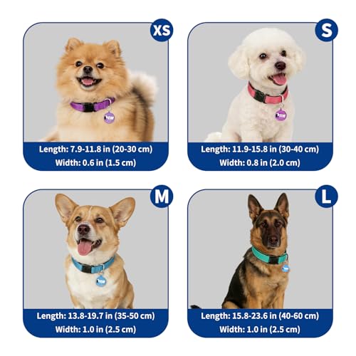 Collar para Perro Pequeño Verde Reflectante con Identificador Inteligente miniatura 7