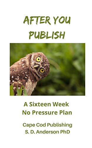 After You Publish: A Sixteen Week No Pressure Plan