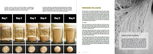 Sourdough Mania: The Complete Guide to Sourdough Baking