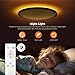 Matane 12in LED Flush Mount Ceiling Light Fixture with Remote Control, Nightlight 2000K Warm, 3000K-6500K Adjustable, Low Profile Ceiling Lights for Bedroom, Kitchen, Living Room, Black