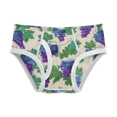 Wusikd Grapes Leaves Boys' Underwear Cotton Boys Briefs Soft Toddler Underwear 2T