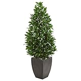 Nearly Natural 56in. Bay Leaf Cone Topiary Artificial Tree UV Resistant in Black Planter (Indoor/Outdoor)