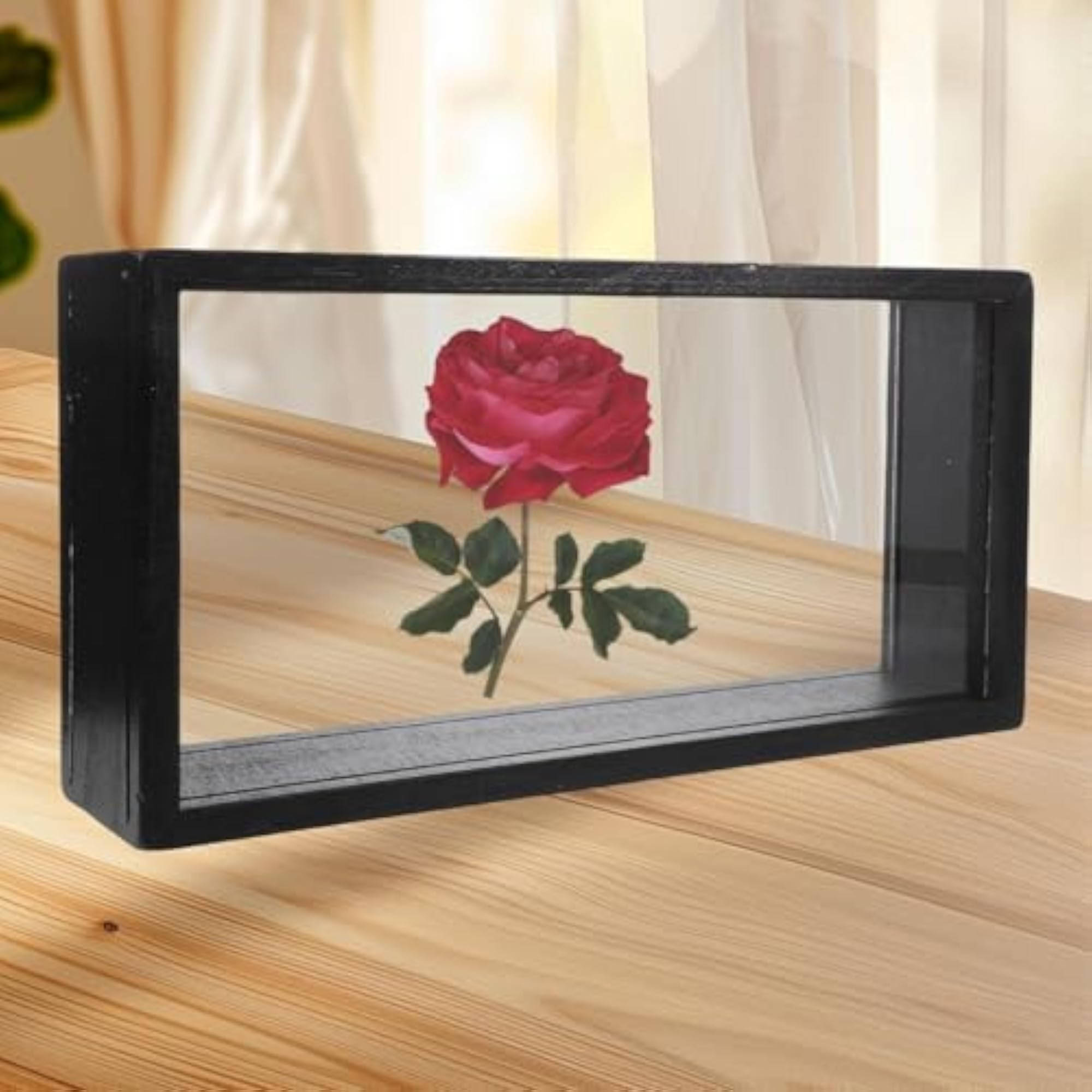 Art Badges Shadow Box with Glass Cover