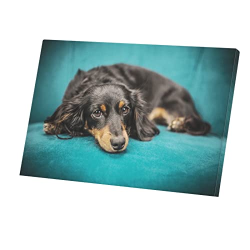 Tableau Corgi nain toile imprimée grand format petit chien noir marron