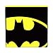 Everything Mary Batman Collapsible Storage Bin by DC Comics - Cube Organizer for Closet, Kids Bedroom Box, Playroom Chest - Foldable Home Decor Basket Container with Strong Handles & Design