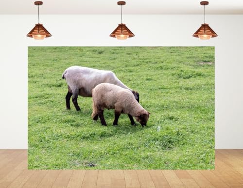 8x6ft Fabric Green Pasture Sheep Backdrop Two Black Head Sheep Grazing Fresh Lush Grass Rural Farm Meadow Background Tapestry Farm Animal Decor Photo Booth Props