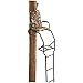 Guide Gear 16' Basic Ladder Tree Stand