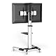 conecto LM-FS02G Pro TV Ständer Standfuß rollbar Universal für Monitor Fernseher LCD LED Plasma mobil mit Rollen höhenverstellbar schwenkbar drehbar 37-70 Zoll (94-178cm) VESA 200x200-600x400mm Alu