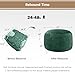 ILPEOD Bean Bag Chairs for Adults - Memory Foam Furniture BeanBag Chair - Kids/Teens Sofa with Soft Micro Fiber Cover - Round Fluffy Couch for Living Room Bedroom College Dorm - 3 ft, Green