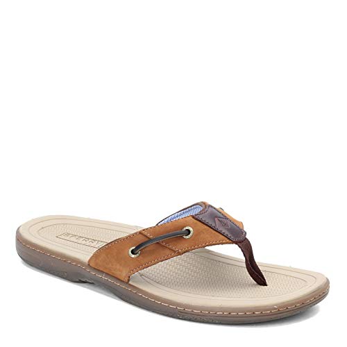 Amazon.com: Sperry: Men's Sandals