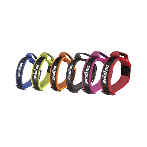 JULIUS K-9 200HA-K-R-2015 Color & Gray series- K9-Halsband mit Haltegriff, Sicherheitsverschluss und Logo und Sicherheitsverschluss, 50 mm*49-70 cm, verstellbar, rot-grau, 50 mm (49-70 cm)