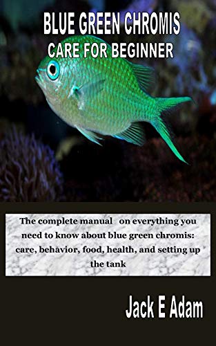 blue green chromis care