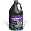 CrystalClear Barley Extract Pond Treatment Natural Water Clarifier for Fountains, Water Gardens & Koi Ponds, Clears Cloudiness, Fish & Plant Safe, 1 Gallon